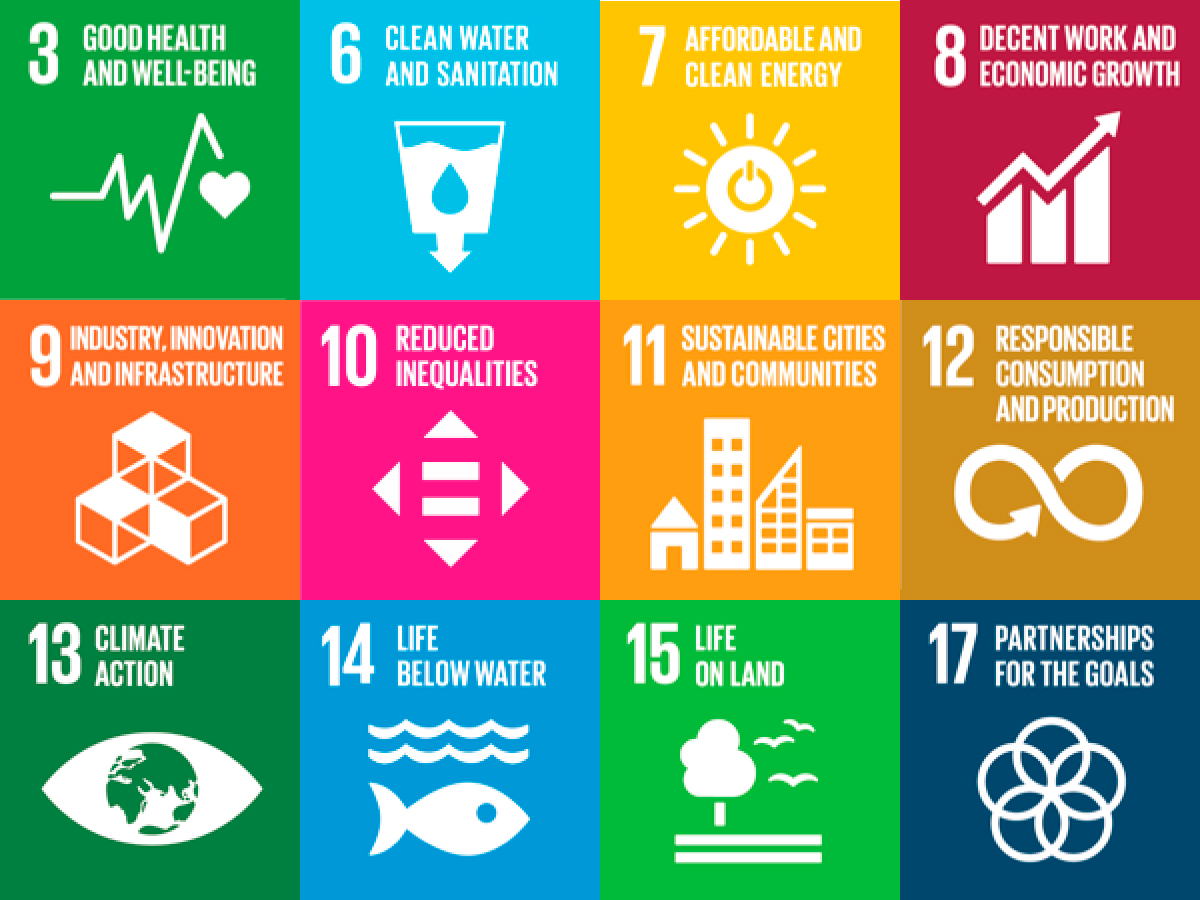 Our COP21 Goals